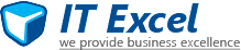 I.T. Excel logo