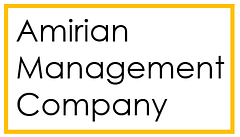 Amirian Careers logo